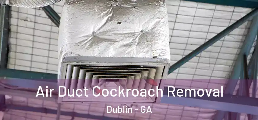 Air Duct Cockroach Removal Dublin - GA