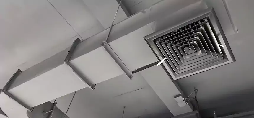 Restorative Allergy Relief Vent Cleaning – Coil, Blower & Housing Detail in Dublin