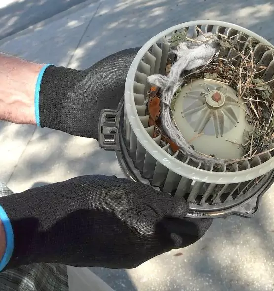 About Air Duct Mice Removal in Dublin, GA