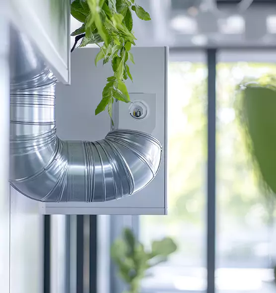 Professional Eco-Safe Dryer Vent Cleaning in Dublin, GA