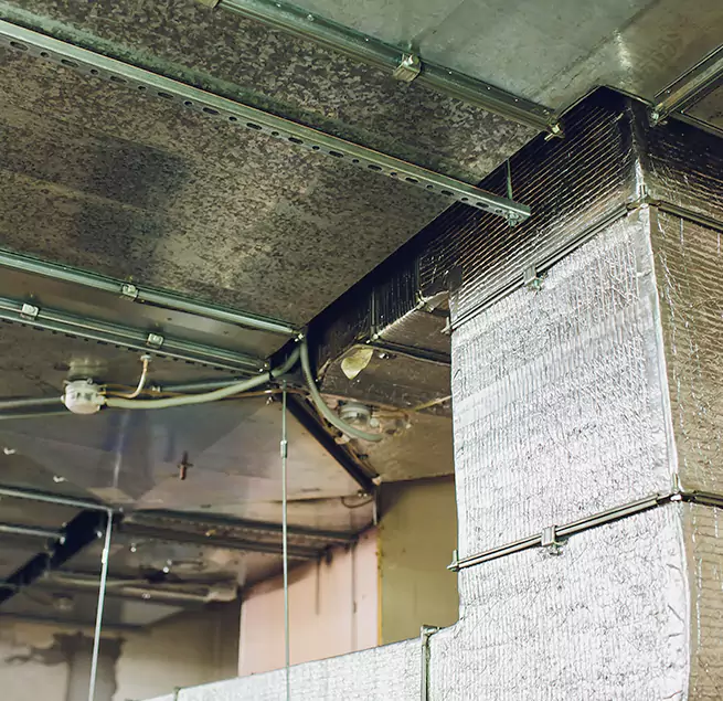 Why Homeowners & Businesses Trust Us in Dublin, GA?